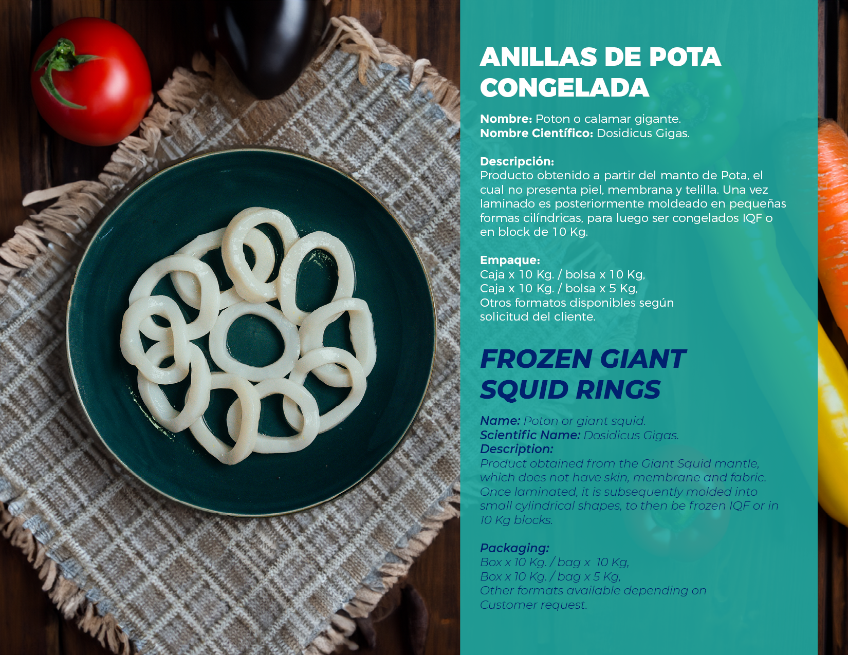brochure 1
